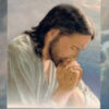 Prayer Book - 165 pages (Extracts from the messages) - Image 2